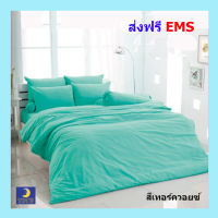 ผ้านวม 8ฟุต (90”x97”) ●ห่ม 2คน / เตียง 5ฟุต, 6ฟุต● ★ ส่งฟรี ? EMS ★ (ไม่รวมชุดผ้าปู) สีเทอร์ควอยซ์ ไร้รอยต่อ ทอเต็มผืน หลับเต็มตื่น กับโตโต้