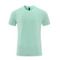 Summer Breathable Lightweight Fitness Short Sleeve Casual Sports Quick-Drying Top Running Workout Sweat Stretch T-shirt Men