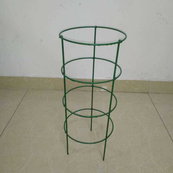 Crabclaw orchid fixed frame climbing vine frame and arrow lotus flower