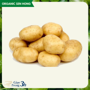 Khoai tây vàng Sen Hồng 1kg