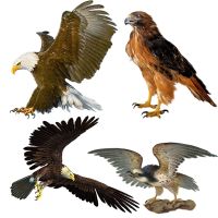 Three Ratels QCF168 Fierce Eagle hand painted  wall sticker art for home decoration Wall Stickers Decals