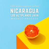 ? Nicaragua Los Altiplanos Java | กาแฟนิคารากัว จาวา | เมล็ดกาแฟคั่วสดใหม่