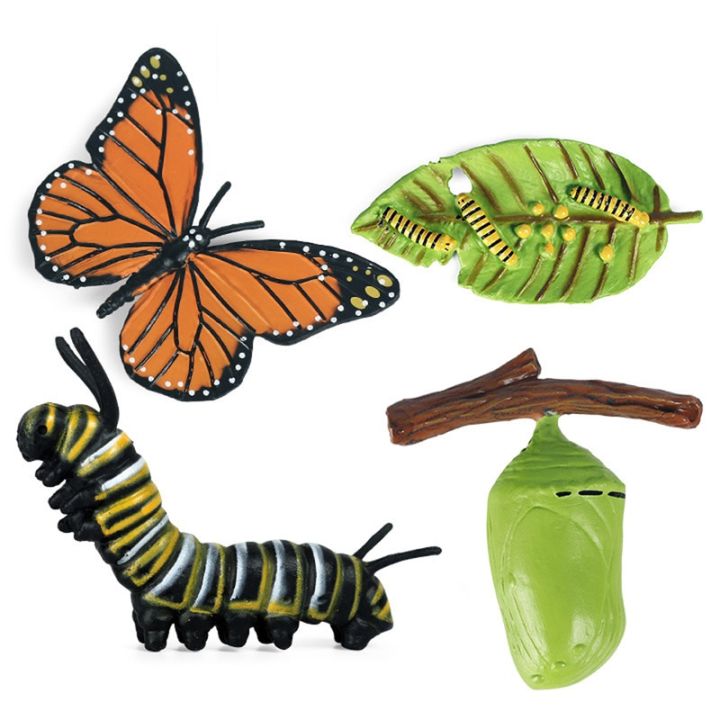 zzooi-new-simulation-oceans-animal-insect-life-cycle-butterfly-snail-penguin-action-figures-collection-science-educational-toys-kids