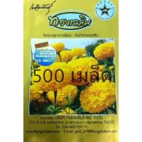 500เมล็ด สีเหลืองทอง ทองเฉลิมโกลด์ ดาวเรือง ตัดดอก TLG 4803 F1