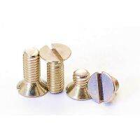 10 Buah/Lot GR2 DIN963 Kepala Sekrup Titanium Countersunk Berlubang M12 M14 M16 M2 M25 M3