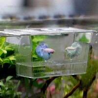 hot【cw】 Breeding Breeder Isolation Aquarium Hatchery Incubator Seedlings Reproduction Holder for Fry