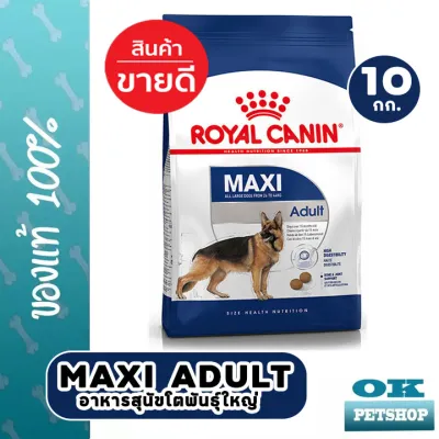 EXP9/24 Royal canin Maxi adult 10 Kg อาหารสุนัขโตพันธุ์ใหญ่ อายุ 1-5 ปี