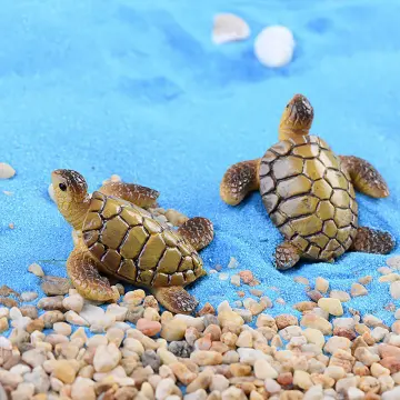 Turtle Aquarium Accessories - Best Price in Singapore - Jan 2024