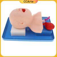 ท่อช่วยหายใจสำหรับทารก CCArte Manikin ท่อลม Cannula เล็บปลอมสำหรับฝึกทาซ้ำ