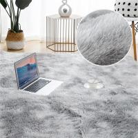 Thickened Household Floor Carpets Window Bedside Home Decor Rugs Soft Velvet Mat Thick Carpet for Living Room Plush Rug