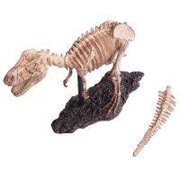 Tyrannosaurus Rex Skeleton Statue Simulated Crafts Museum Night Ornaments Sculpture Home Room Decoration