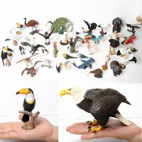 【CC】▼  Simulated Bald pelican Birds Hand Painted Figurine for Kids Collection Science Educational