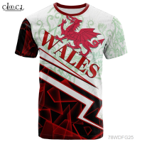 2023 New ClOOCl cellragon Vintage T-shirt Unisex 3D model summer T-shirt street camisita de manga (top of Cole tower)(FREE CUSTOM NAME LOGO) Summer Fashion T-shirt