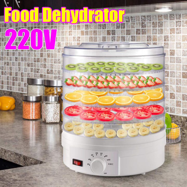 350W Dried Fruit Vegetables Meat Machine Household MINI Food Dehydrato –  Home Chef Provisions