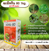 อะมีทรีน 80 1kg. ตราช้างแดง อะมีทรีน อามีทรีน สารกำจัดวัชพืช กำจัดหญ้า ใบแคบและกว้าง แบบดูดซึม ชนิดผง กำจัดหญ้าตีนติด หญ้าตีนกา allabountplants