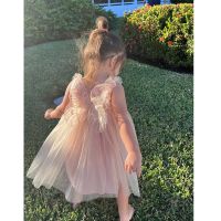 HOT★Butterfly Newborn Baby Dress New Summer Cute Baby Girls Clothes Tulle Lace Infant Party Clothing 1 2 3 4 5 6 Year Birthday Dress