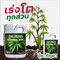 ปุ๋ย  กันซ่า เร่งต้น เร่งโต รากแข็งแรง ขนาด 500 ml.