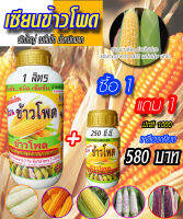 พร้อมส่ง!! เซียนข้าวโพด ขนาด 1 ลิตร แถมขนาด 250 ซีซี. ยาฉีดข้าวโพด ฮอร์โมนข้าวโพด ปุ๋ยทางใบ สาหร่าย อะมิโน เร่งฝัก อาหารเสริมพืช