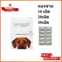 Renavast for Dog แบบแบ่งขาย อาหารเสริมโปรตีน บำรุงไต EXP 12/2025