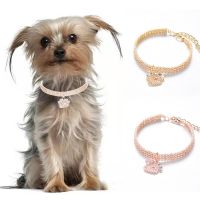 【CW】 Shaped Gold Dog Collar Necklace for Dogs Collars Adjustable Accessories