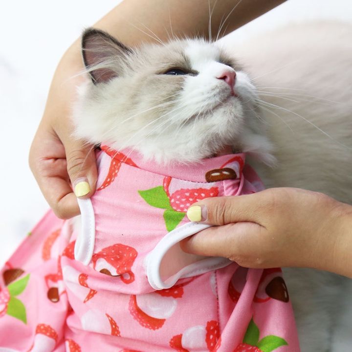 ชุดฆ่าเชื้อพิมพ์ลายแมวเสื้อผ้าแมวกันเลียหลังพักฟื้นเสื้อผ้าระบายอากาศดูแลสัตว์เลี้ยง-sp-ฤดูร้อน