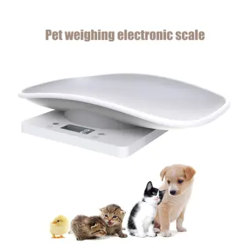 Digital Pet Scale Cat Scale Food Weight Mini Scale LCD Electronic