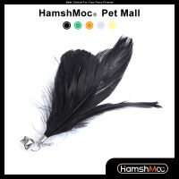 HamshMoc ของเล่นแมว5ชิ้นเปลี่ยนได้ของเล่นขนนกได้ของเล่นแมวแบบโต้ตอบสีสันสดใสทนทานขนนกสำหรับในร่มและกลางแจ้งแมว