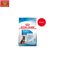 Royal Canin Maxi Puppy 4kg อาหารเม็ดลูกสุนัข พันธุ์ใหญ่ อายุ 2-15 เดือน (Dry Dog Food, โรยัล คานิน)