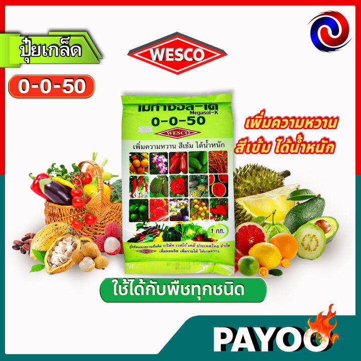 แพ็ค-3-กิโลกรัม-wesco-ปุ๋ย-0-0-50-s-กำมะถัน-ปุ๋ยเกล็ด-เวสโก้-เพิ่มความหวาน-สีเข้ม-ได้น้ำหนัก