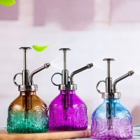 【CC】 200ml Spray Bottle Hand Glass Watering Can Garden Misters Sprayer Pot Kettle Spritzer