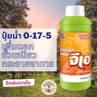 ปุ๋ยน้ำ 0-17-5 แมมมอท โฟลิไซม์ จีเอ 1ลิตร ปุ๋ยน้ำ ปุ๋ยทางใบ เทพวัฒนา