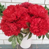 French Five Head Super Large Peony Imitation Peony Wedding Silk Flower Imitation Peony Imitation Fake Flower