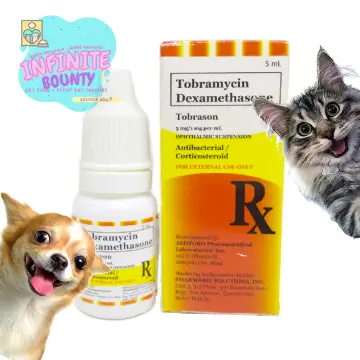 Tobramycin for dogs clearance ears