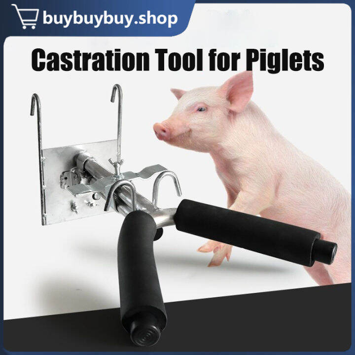Adjustable Piglet Castration Hang Rack Castration Cutting Rack Piglet