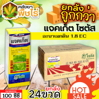 ? ?? สินค้ายกลัง ?? แจคเก็ต โซตัส (อะบาเมกติน) 1ลัง100ซีซี*24ขวด