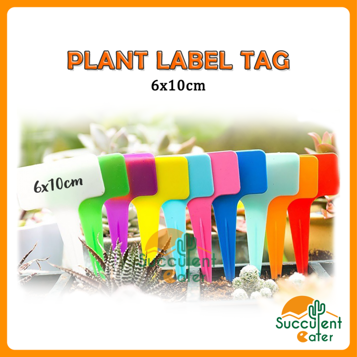 Plant Label Tag 6x10cm Garden Plant Flower Label Tag Nursery Thick T-Types Tool 植物标签 | Lazada
