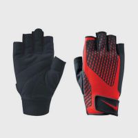 ถุงมือฟิตเนส Nike Core Lock Training Gloves 2.0 (L)