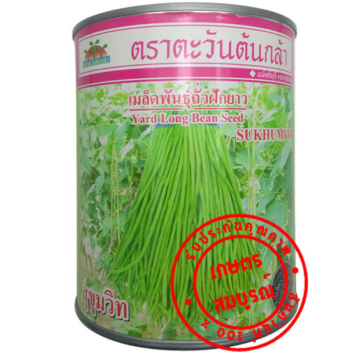 ถั่วฝักยาวตะวันต้นกล้า-สุขุมวิท-มังกรหยกเบอร์9-เมล็ดพันธุ์-500-ก