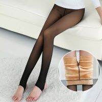 (Xianle Clothing)เซ็กซี่ถุงน่องผิวผลกับถุงน่องขั้วโลกฤดูหนาวผู้หญิงขนสัตว์ Leggings โปร่งแสงถุงเท้ากางเกงเอวสูงถุงน่องความร้อนปลอม