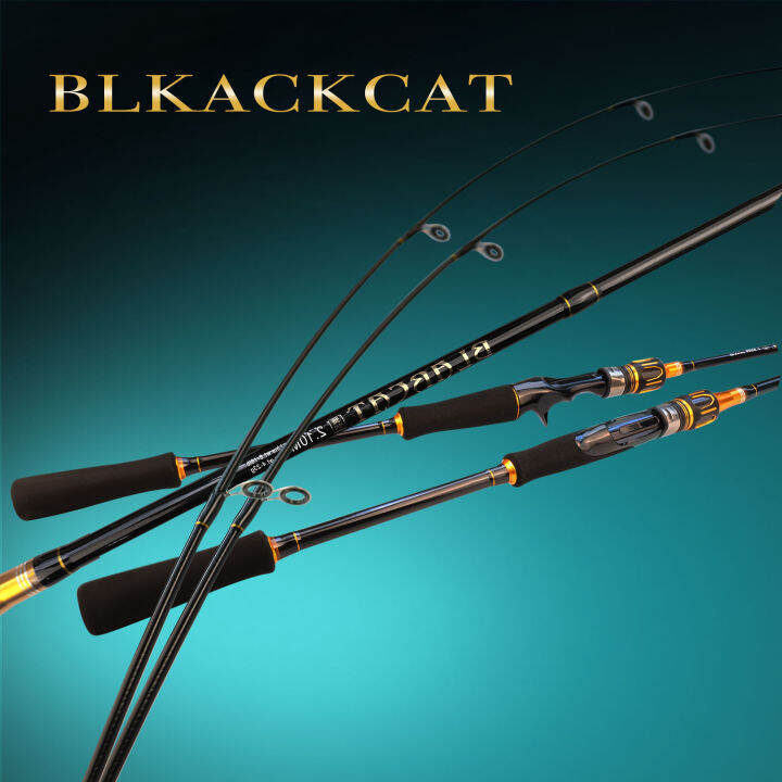 【TRAINFIS】【423g/818lb】1.8M/2.1M M/MH Fishing Rod 2 Tips Spinning Rod Baitcasting Rod Surf Cast