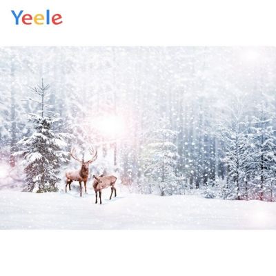 【❂Hot On Sale❂】 liangdaos296 Yeele กวางเอลค์หิมะต้นสนป่าฤดูหนาวภาพทิวทัศน์ฉากหลังฉากหลังสำหรับรูปถ่ายถ่ายภาพส่วนบุคคลสตูดิโอ