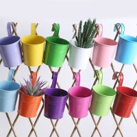 Mini Metal Flowers Hanging Garden Pots Balcony Vertical Wall Hang Bucket Succulent Basket With Removable Tin Greenhouse Tools Bag Accessories