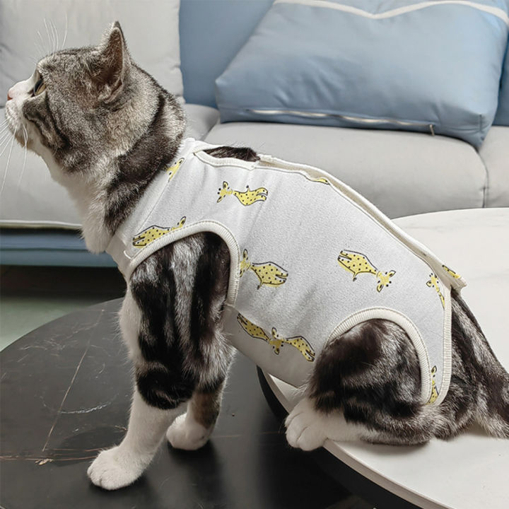 เสื้อหลังผ่าตัดรุ่นใหม่-เสื้อทำหมัน-เสื้อหลังผ่าตัดแมว-เสื้อหลังผ่าตัดหมาเล็ก-pet-recovery-suit