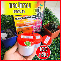 ยากันรา ยากันเชื้อราแคคตัส cactus  ชนิดผง ยากันราแคปแทน (Captan - Captacide 50)  แคปแทน  แคคตัส ไม้ประดับ แบ่งขาย 100 กรัม?