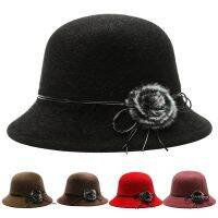 Hat imitation mink hair spring and autumn womens bow trend middle-aged elderly fisherman hat outdoor fashion sunshade