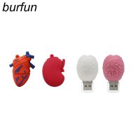 Cartoon Human Organs USB Flash Drive Lung Heart Stomach Brain Doctor pendrive 64gb usb flash drives memoria usb stick pen drive