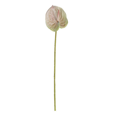 Sanwood ไม้พาย®1สาขาดอกไม้ประดิษฐ์รักษาสดศิลปะ3D การพิมพ์สง่างามสดใสปลอมหน้าสั้นดอกไม้อุปกรณ์ถ่ายภาพดอกไม้ปลอมไม่มีรดน้ำ