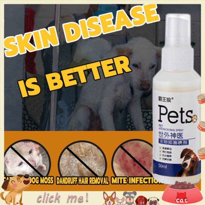 Pet Skin Treatment For Dogs Pet Anti Fungal Spray Dog Skin Disease ...