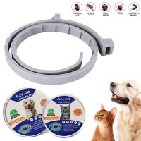 ZZOOI Flea and Tick Collar for Dogs Anti Fleas Ticks Collars Flea Collars for Cats 38CM 70CM