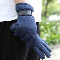 ต้นฉบับ THE NORTH FACE gloves mens winter warm motorcycle riding touch screen waterproof cold-proof plus velvet thickened outdoor ski cotton gloves for men